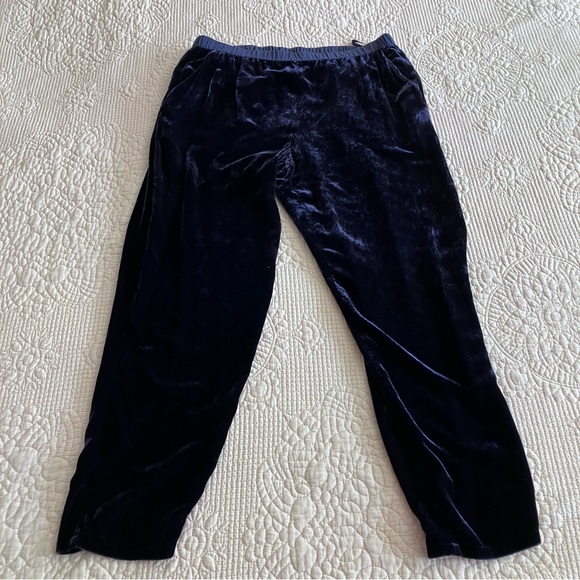 EUC Eileen Fisher blue velvet pants - Picture 4 of 12